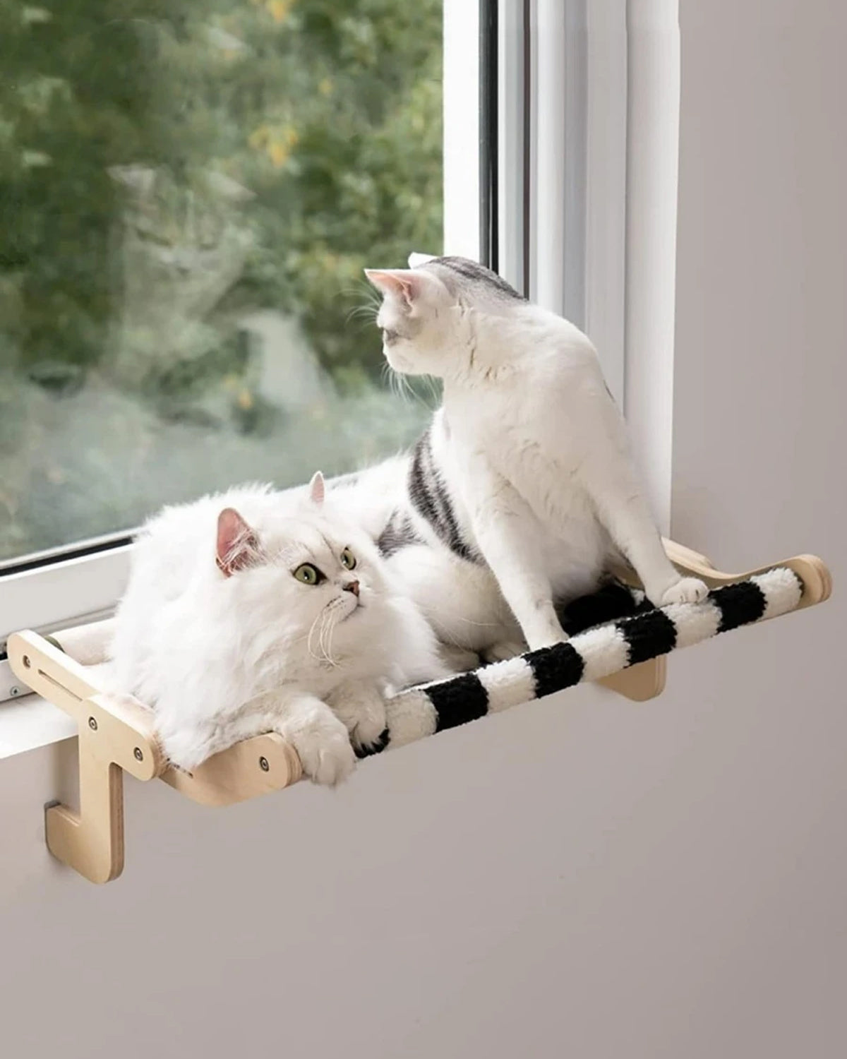 Cat Window/Bed Perch™